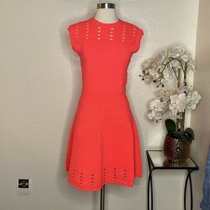 Ted Baker NWT Zaralie Jacquard Panel Pink Skater